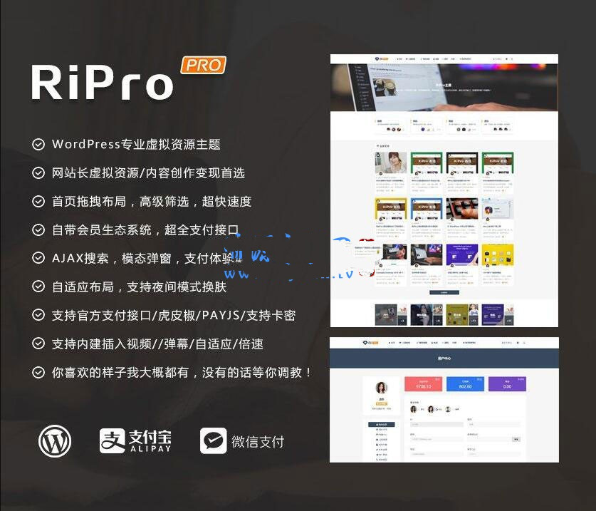 图片[1]-RiPro Theme v8.6 WordPress主题+无限版+新搜狐支付+自有会员生态+自适应布局-2345资源网-互联网资源搬运工